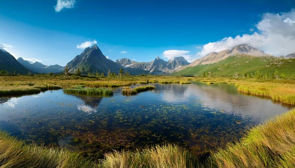 Villas en location : astuces pour échapper aux pièges et aux arnaques